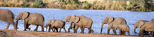 Sudafrica: romance y aventura